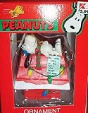 Vintage! Peanuts Snoopy on Christmas Decorated Doghouse w Note to Santa Ornament