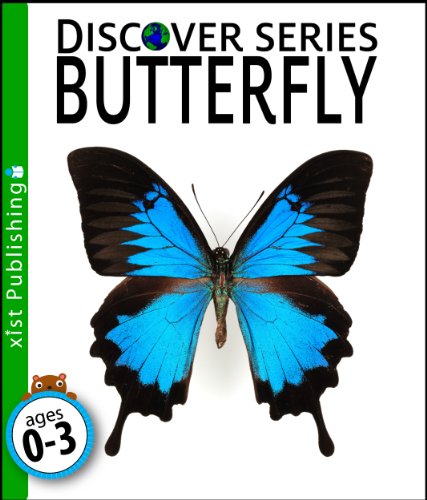 Butterfly (Discover Series)