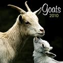 Goats 2010 Square Wall