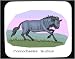 Mouse Pad with africa, jungle, taurinus, brindled, connochaetes, gnu, animal, ox