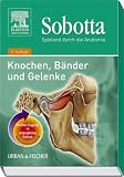 Sobotta - Spielend durch die Anatomie. Knochen, Baender, Gelenke