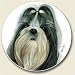 Shih Tzu Coaster, Single Coaster for Your Car
