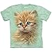 The Mountain Kids Kittens T-Shirt
