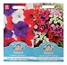 Mr Fothergill's Seeds Petunia B Collection