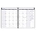 AT-A-GLANCE Weekly/Monthly Planner/Appointment Book, Collegiate, Academic Year, July 2015-July 2016, 8 x 9.88 Inch Page Size (70-CP01-05)