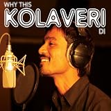Why This Kolaveri Di? (The Tigerstyle Bhangra Mix)