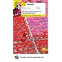 Teach Yourself Bengali (Book + 2CD's) (TY: Complete Courses)