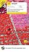 Teach Yourself Bengali (Book + 2CD's) (Teach Yourself Complete Language Courses) by William Radice ISBN 0071546944