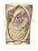 Things in the Thoracic Cavity Giclee Poster Print, 18x24