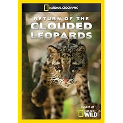 Return of the Clouded Leopards