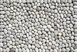Natural Pebble Mat - Ivory/White (30