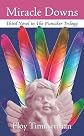 Miracle Downs: Third Novel in The Picnicker Trilogy