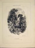 VILLAGE HOMES ENGRAVING MASON JACKSON THOMSON PRINT OLD