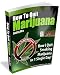 How to Quit Marijuana - How I Quit Smoking Weed in 1 Single Day!