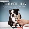 Tell Me Where It Hurts: Humor, Healing and Hope in my Life as an Animal Surgeon