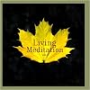 Living Meditation Vol. III: Guided Relaxations With David Harshada Wagner