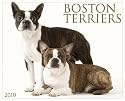 Boston Terriers 2010 Calendar