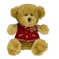 2009 Graduation Plush - Bear
