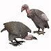 Vulture - Large Foam Standing