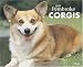 Just Pembroke Corgis 2008 Calendar (Just)
