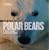 Face to Face with Polar Bears (Face to Face with Animals)
