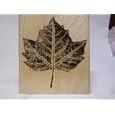Rubber Stamp - Big Maple Leaf