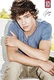 Music - Pop Posters: One Direction - Liam - 35.7x23.8 inches