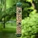 Bird Quest SBF3G 17-Inch Spiral Seed Bird Feeder - Green