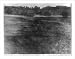 Historic Print (L): Kazakh field