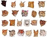 Brother/Babylock Embroidery Machine Card BIG CATS 1