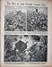 Bild: 1915 Soldat-Kampf-Japaner-Bergwerke WW1 Assmann Deutsche
