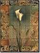 Pattern Lily by Louise Montillio - Flowers Floral Tumbled Marble Tile Mural 16" x 12" Kitchen Shower Backsplash