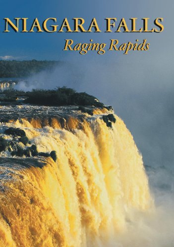 Niagara Falls Raging Rapids
