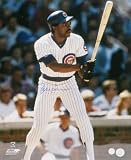 Andre Dawson Chicago Cubs Autographed 16x20 Photograph
