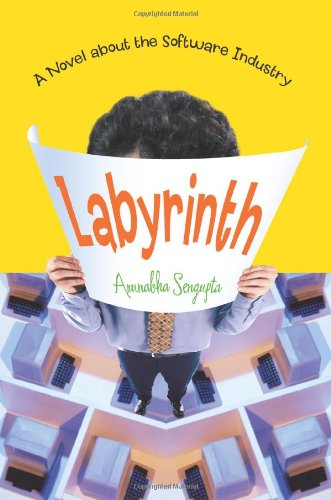 labyrinth a novel about the software industry