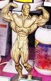 51rpQxRN59L. SL160  Bodybuilding: Gain More Muscle By Training Less Often Review
