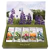 Tea Forte Single Steeps Herbal Tea - 15 Pack