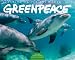 Greenpeace 2012 Calendar: Standing Up for the Earth (Wall Calendar) by CC Greenpeace