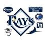 Fathead Tampa Bay Rays Logo Wall Decal