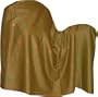 Shawl Wrap Kashmiri Embroidered Wool Accessory 80 x 40 inches (ebs302)