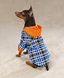 BLUE - MEDIUM - The Logger Dog Utility Jacket