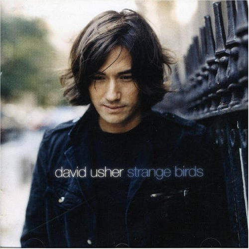 CD-Charts  Music : Strange Birds