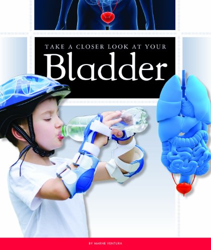 Take a Closer Look at Your Bladder