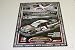 2008 Dale Earnhardt 10th Anniversary Daytona 500 win Chevy Impala COT postcard