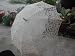 Batten Burg Lace Parasol Stunning!
