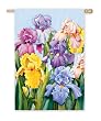 Blooming Iris Silk Reflections Regular Size Flag Blooming Iris Silk Reflections Regular Size Flag