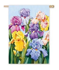 Blooming Iris Silk Reflections Regular Size Flag