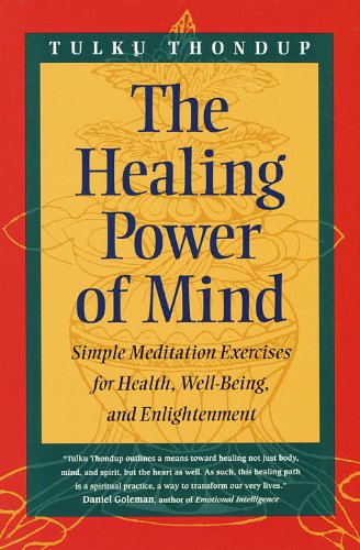 The Healing Power of Mind (Buddhayana S)