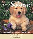 In praise of goldens