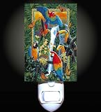 Jungle Bird Fantasy Decorative Night Light